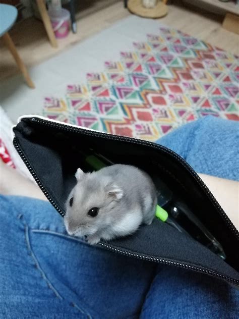 She's Coming With Me! .
